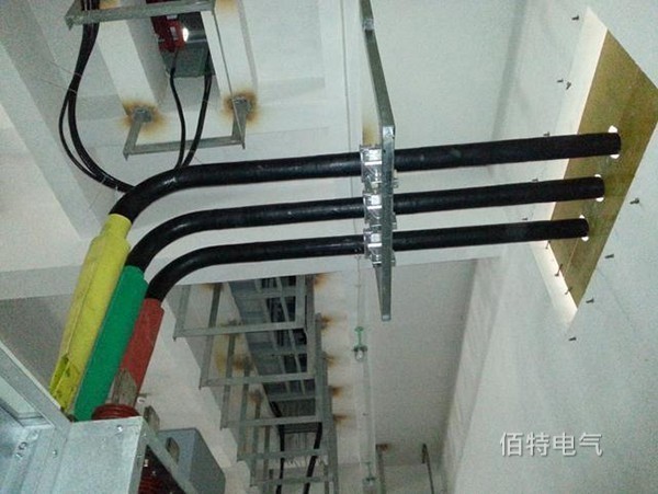 管型午夜成人无码